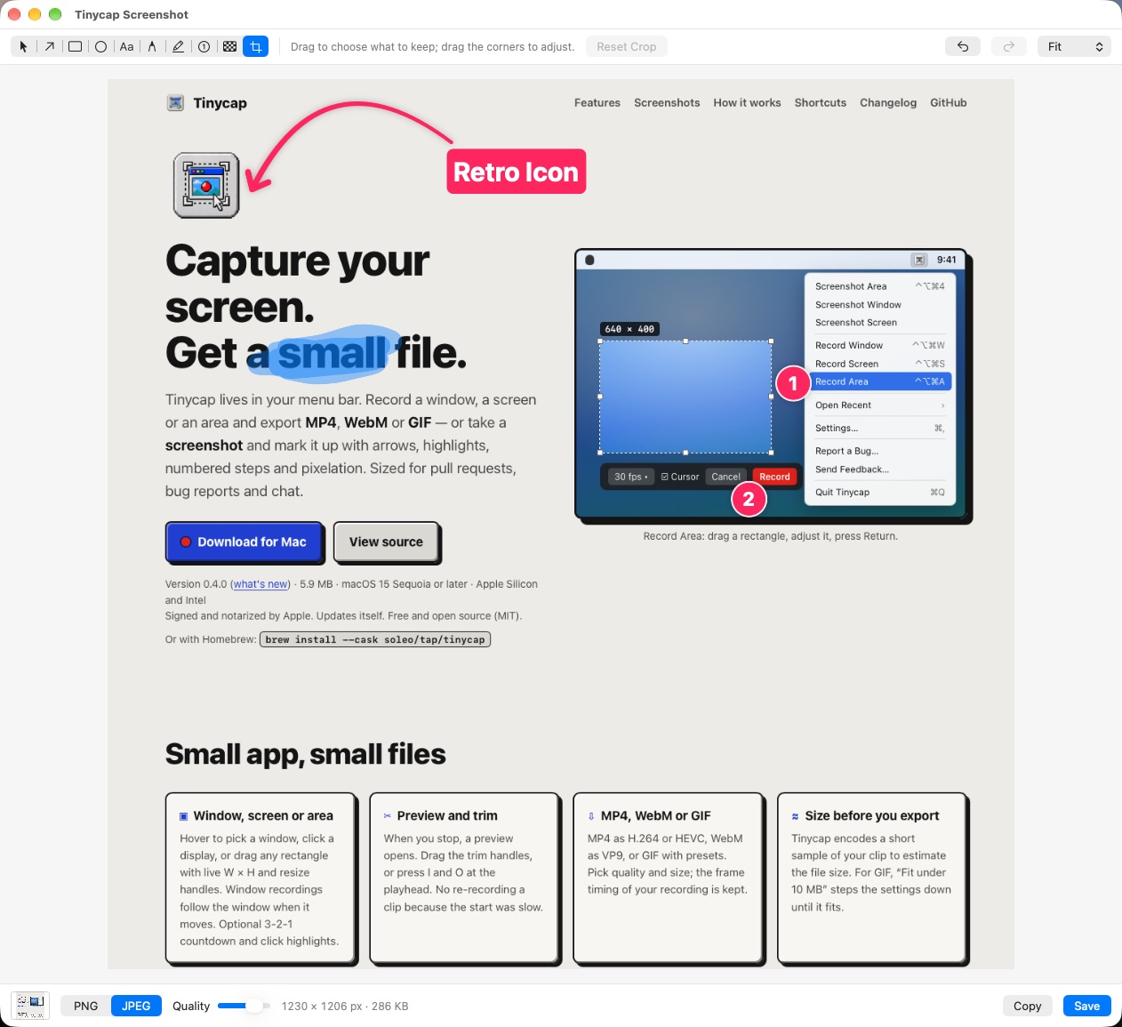 Tinycap's screenshot editor showing the Tinycap website marked up with a curved pink arrow pointing at the app icon, a pink Retro Icon label, a blue highlighter stroke over the word small, and numbered steps 1 and 2 on the Record Area menu item and the Record button